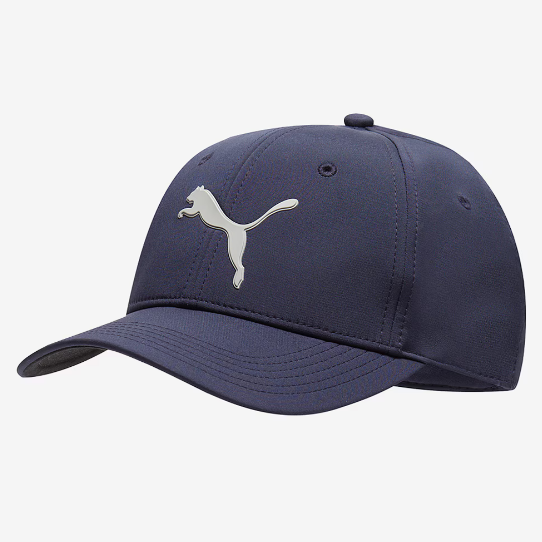 Premium  Puma Embroided Blue shade cap